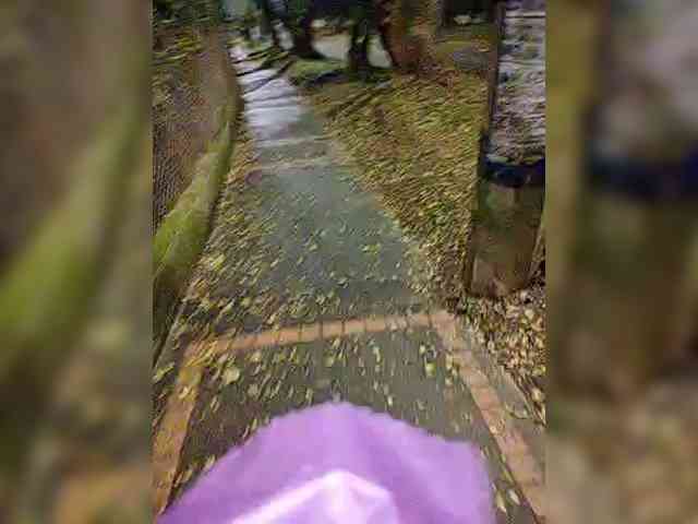 NinaBelluschi webcam