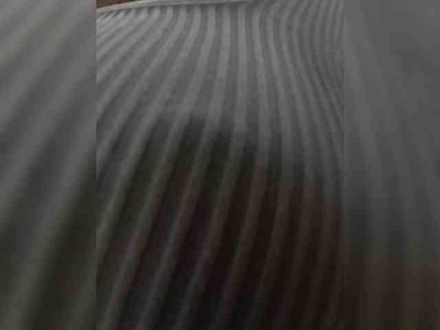 NinaBelluschi webcam