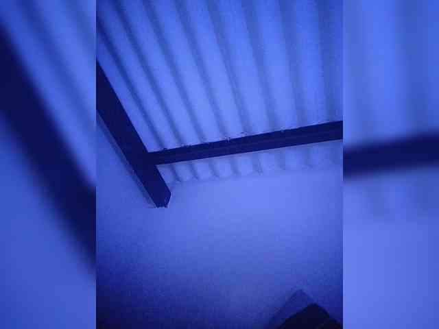 NinaBelluschi webcam