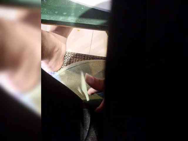 NinaBelluschi webcam