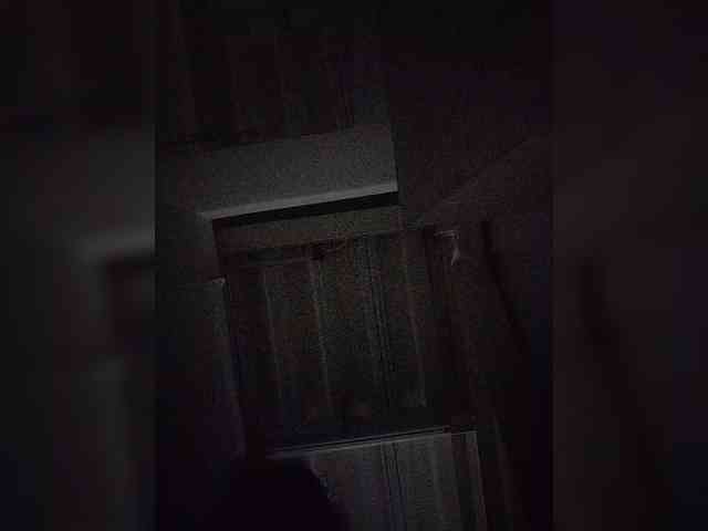 NinaBelluschi webcam