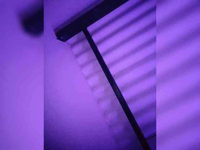 NinaBelluschi webcam