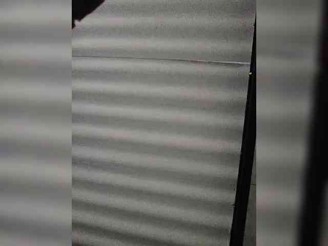 NinaBelluschi webcam