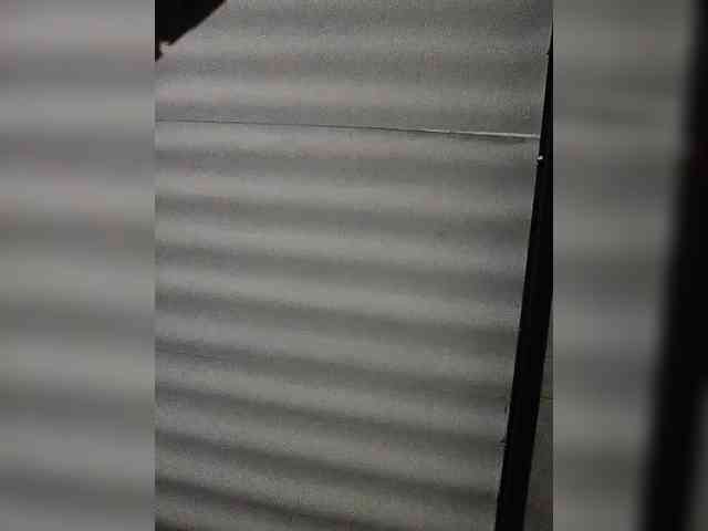 NinaBelluschi webcam