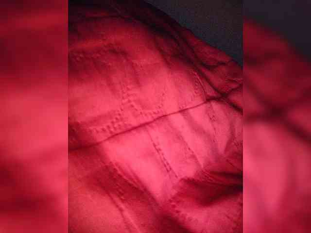 NinaBelluschi webcam