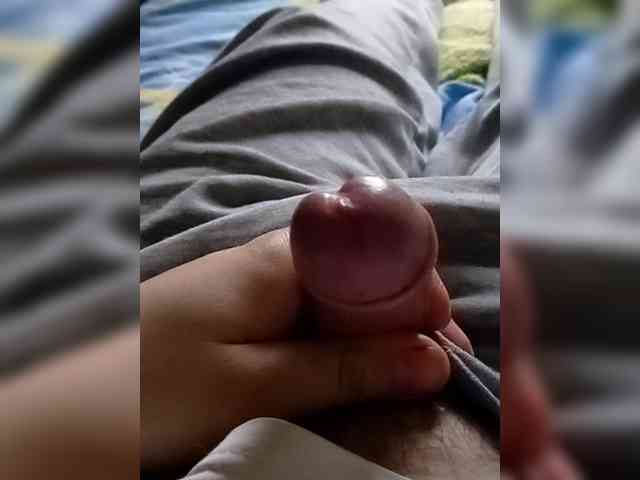 Chernomor29 Chernomor29