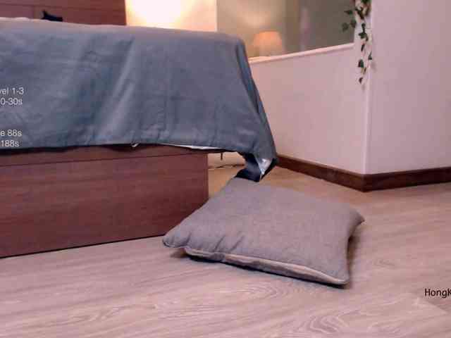 HongKongKitten webcam