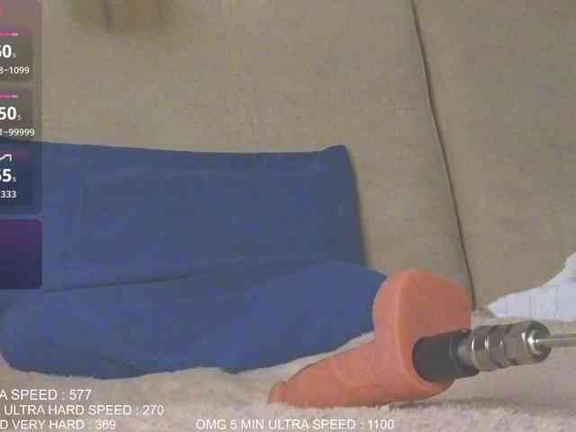 Sunny-Rose webcam