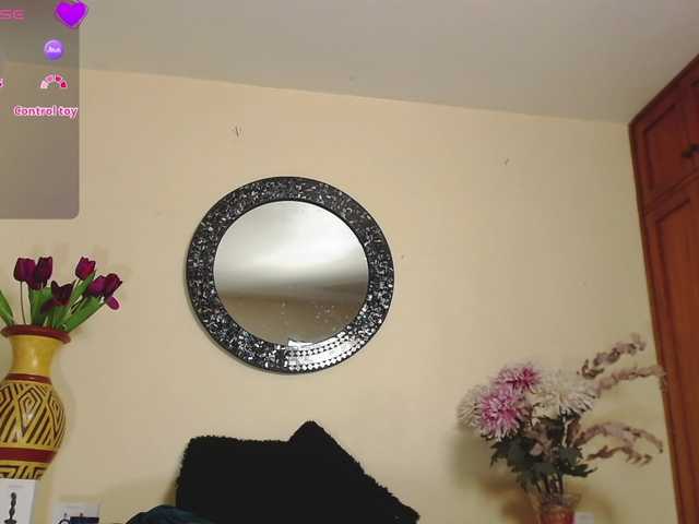 Preview of nicolesantana