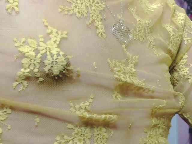 NicoleSantana webcam