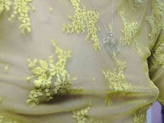 NicoleSantana webcam