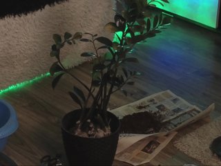 Kira_Li_Lime Porn Show