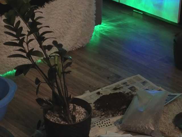 KiraLiLime's BongaCams show and profile