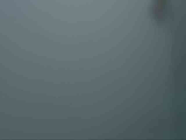 Kira_Li_Lime webcam