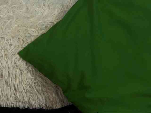 Kira_Li_Lime webcam
