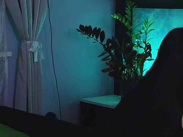 Kira_Li_Lime webcam