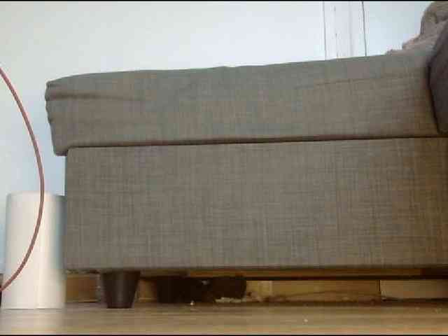 YourDesire36 YourDesire36