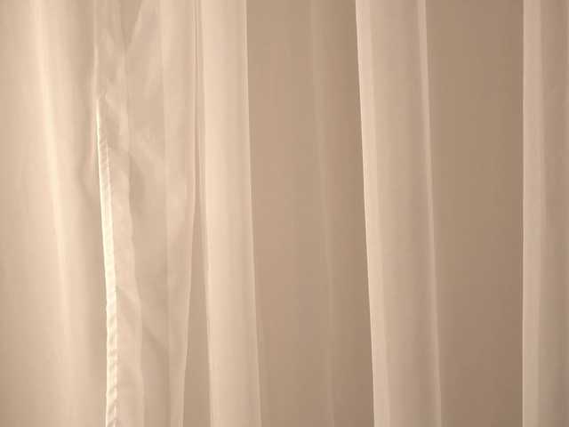 BlackWidow22 live cam