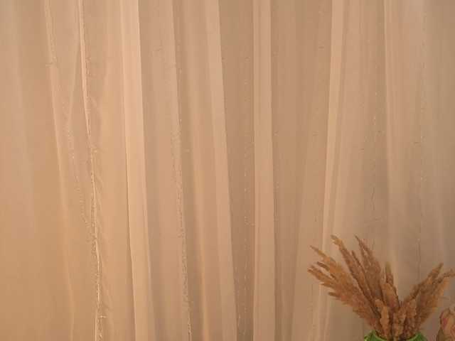 BlackWidow22's BongaCams show and profile