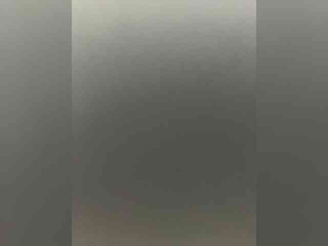 -Jolly- webcam