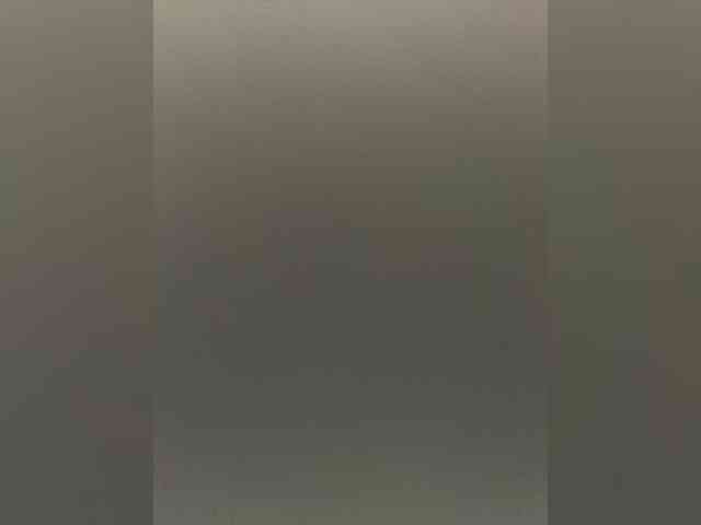 -Jolly- webcam