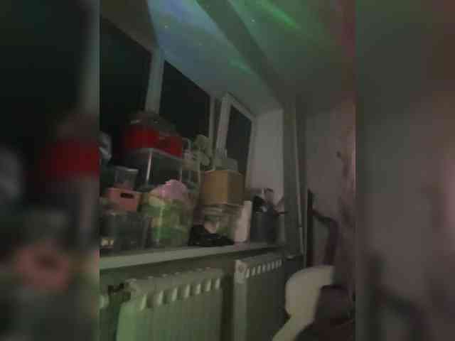 LollaDolly webcam