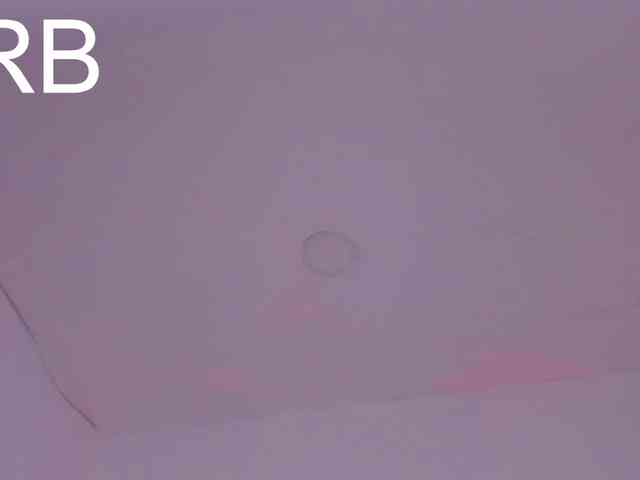 Kahia-swt webcam