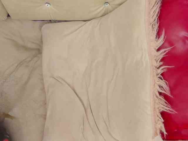 live chat cam Blow2job-lat