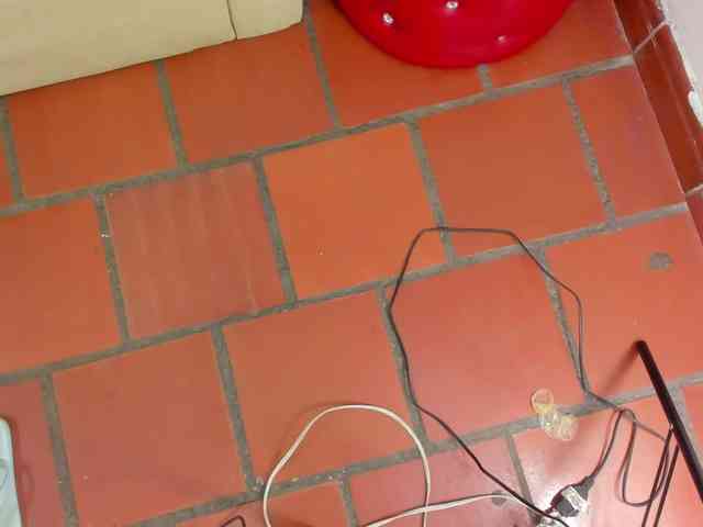 blow2job_lat webcam