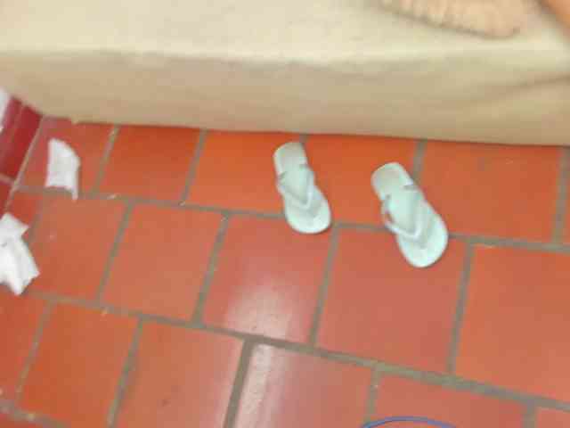 random adult cam chat Blow2job-lat