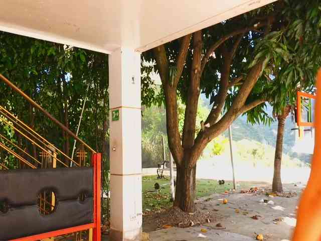 GGMansion webcam