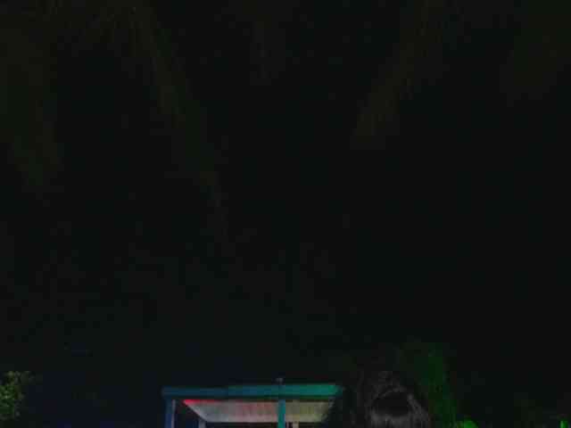 GGMansion webcam