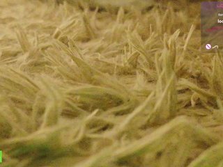 DeliFlower Porn Show