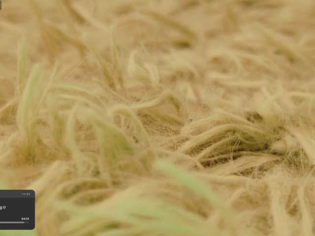 SweetLilLulu's BongaCams profile