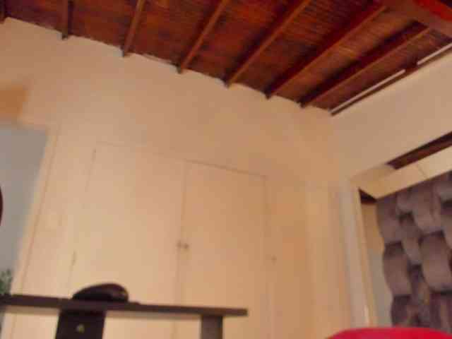 thebigpam webcam
