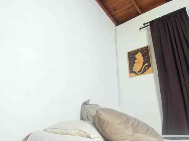 thebigpam webcam