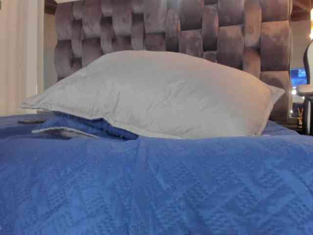 thebigpam webcam