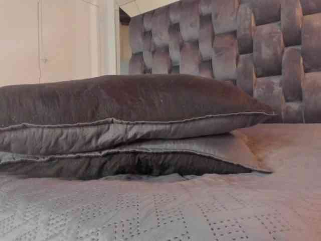 thebigpam webcam