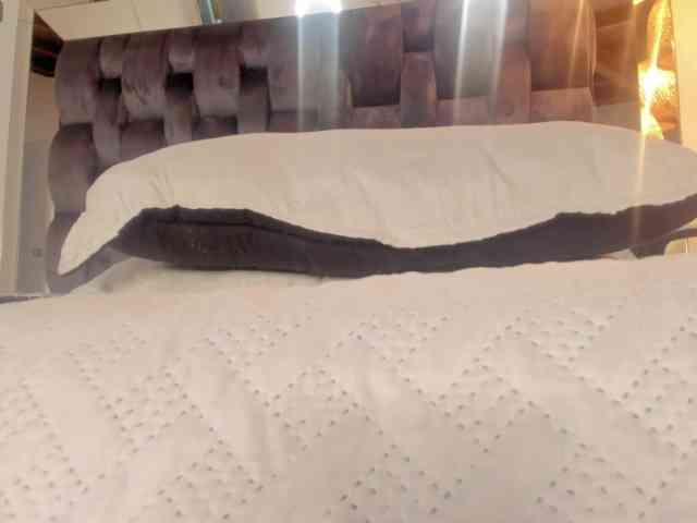 thebigpam webcam