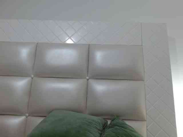 VeraVersace webcam