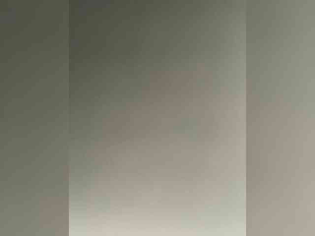 Essss33331 webcam