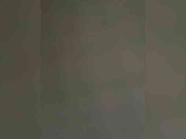 webcam Essss33331