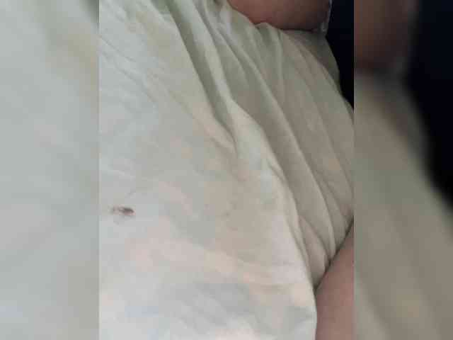 Essss33331 webcam