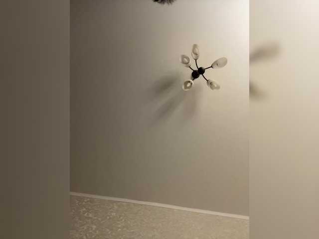 HellMor's BongaCams show and profile