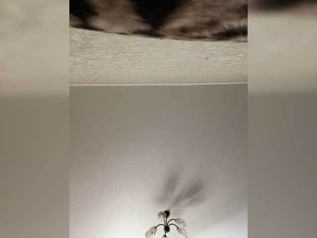 HellMor's BongaCams profile