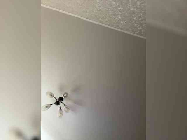 HellMor Live Webcam on BongaCams