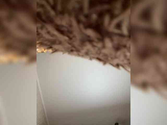 camsex porn HellMor