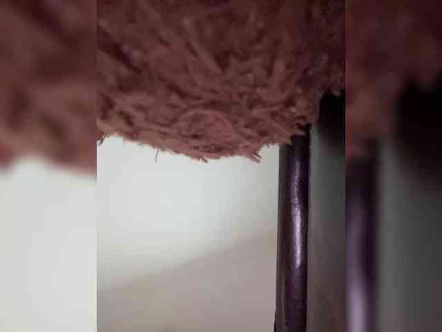 HellMor webcam