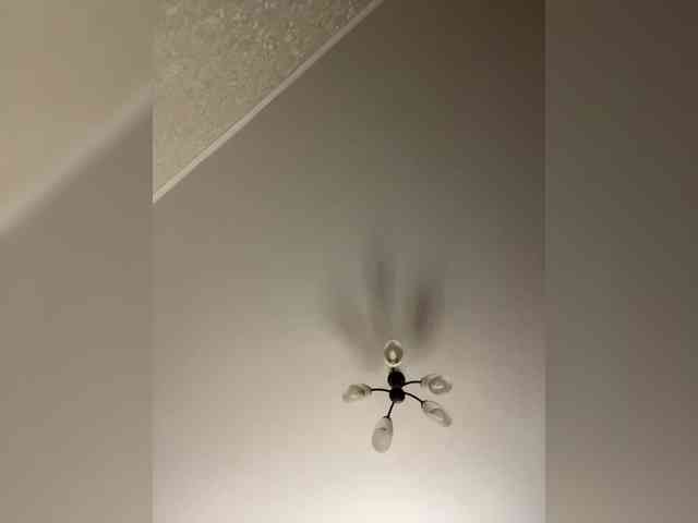 HellMor Live Webcam on BongaCams