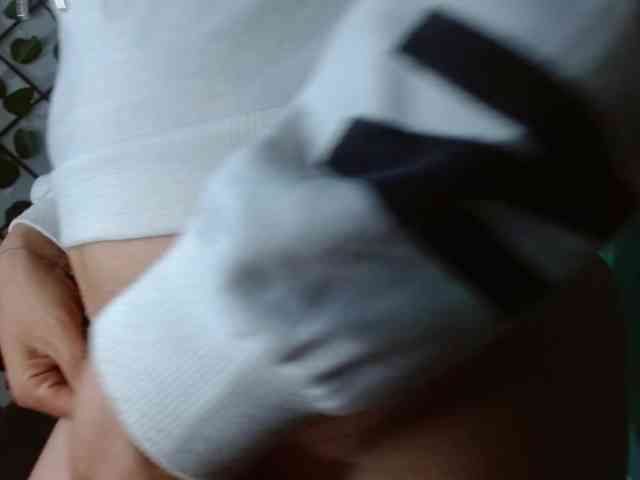 salems83 webcam